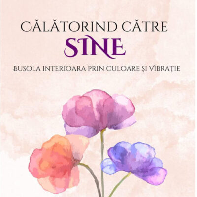Calatorind catre SINE