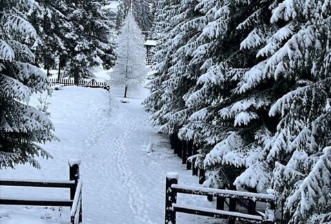 photo_2025-01-05_08-19-47