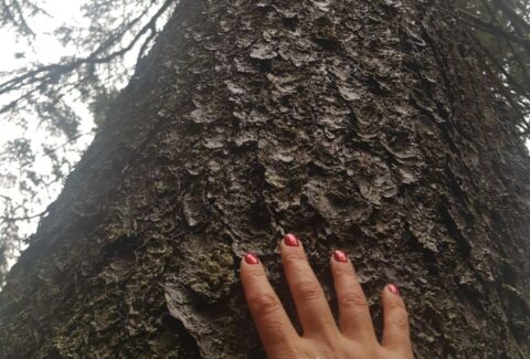 photo_2025-01-26_22-37-02