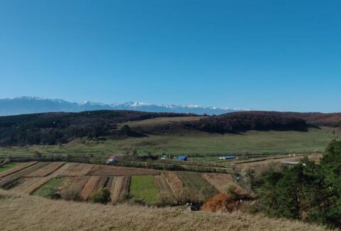 CALEA EXPRIMĂRII DE SINE