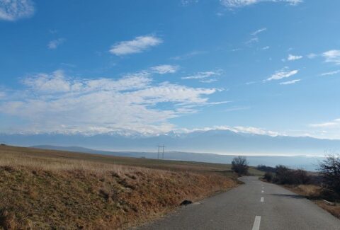 Calea iubirii de SINE