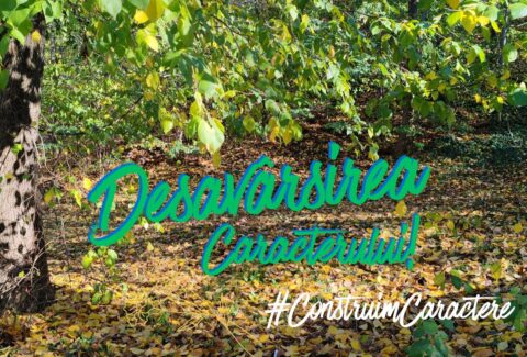 desavarsirea caracterului blog