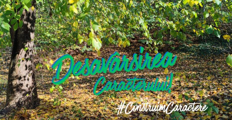 desavarsirea caracterului blog