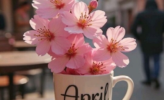 aprilie